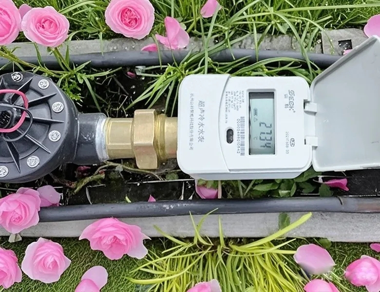 杭州“頂流”驚艷全國，山科如何守護(hù)城市“空中花廊”